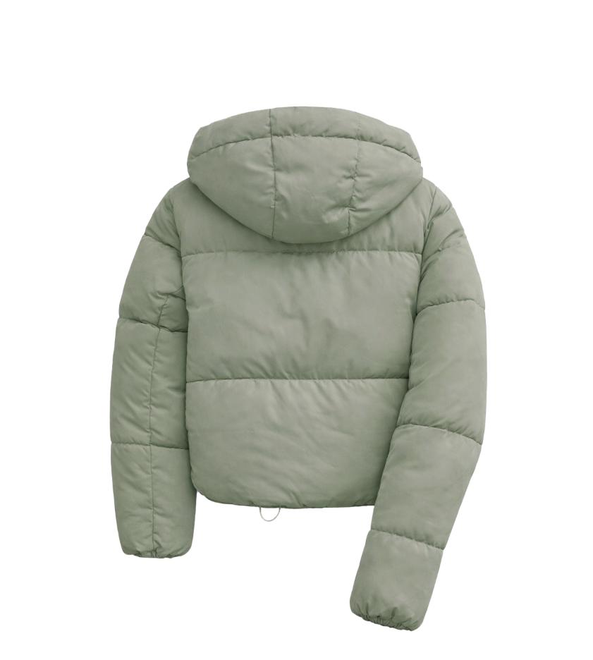 The North Puffer
