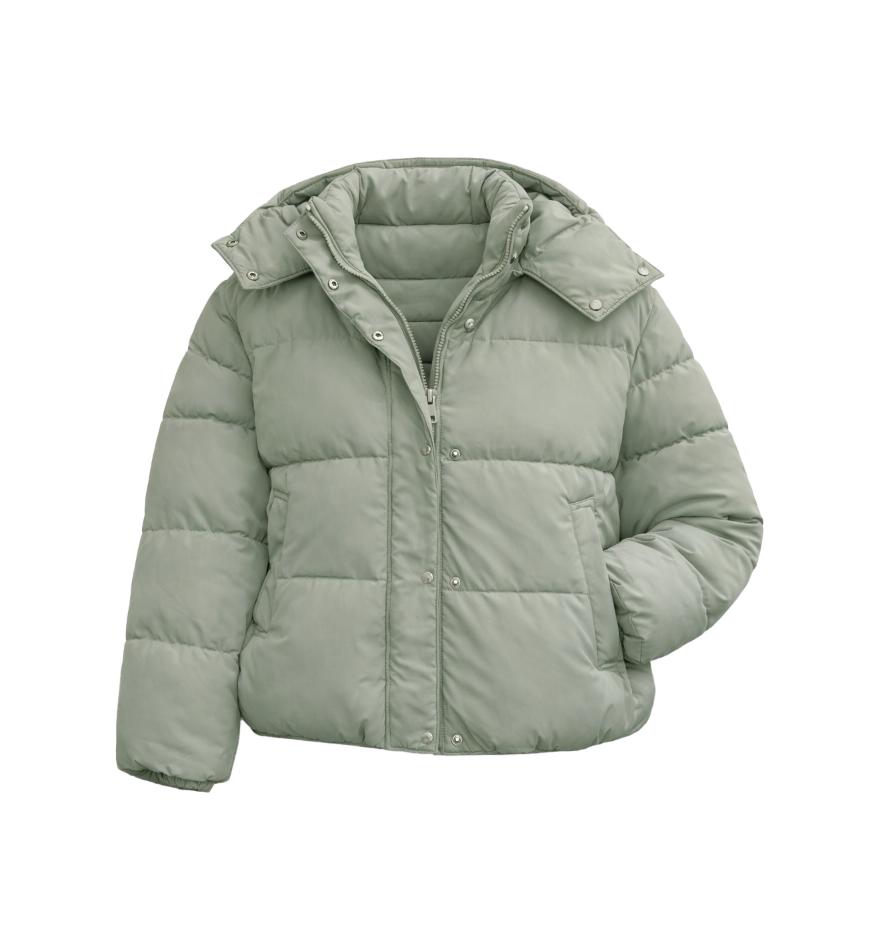 The North Puffer